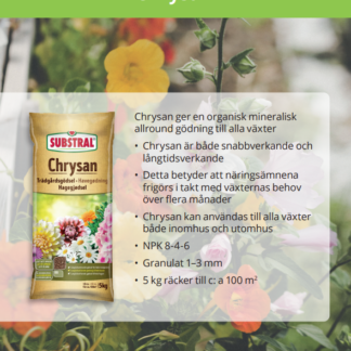 Produktblad Substral Chrysan