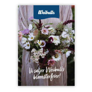 Poster Weibulls blomsterfröer 70x100