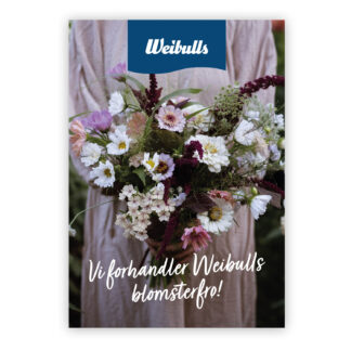 Poster Weibulls blomsterfröer 70x100 dansk